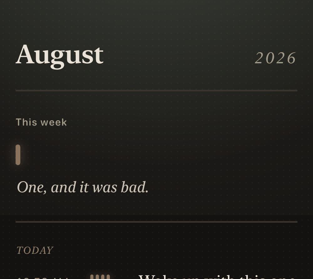 The HeadSense record: August 2026, one headache this week, and the day's entries ruled beneath it.